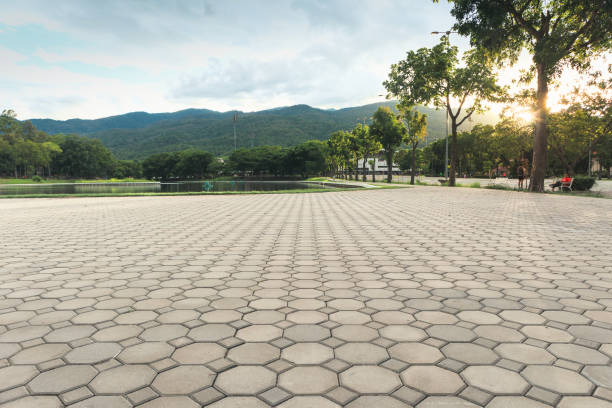 Best Local Driveway Pavers  in Divernon, IL